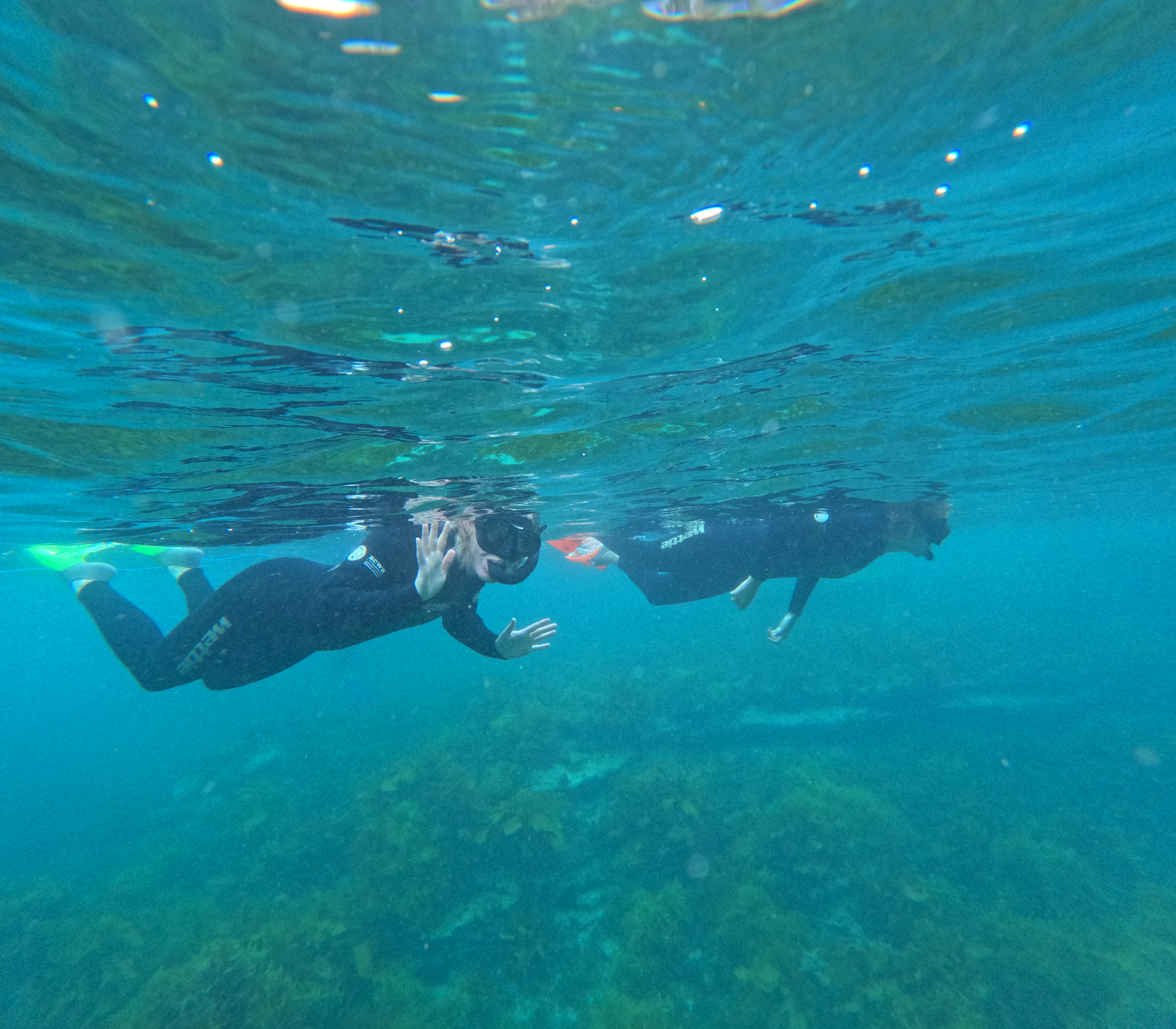 Snorkelling (Beach Access)